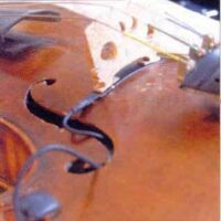 Realist Pickup Violin with Mini-Jack, includes lead