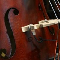 Realist Pickup, DB, Lifeline