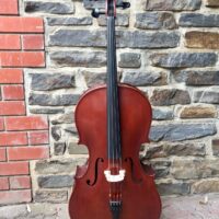 Enrico Cello Custom Outfit - 3/4 Size - Preloved