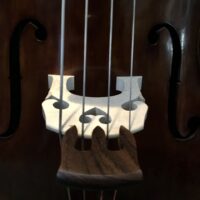 Double Bass MUTE - Rosewood Curved