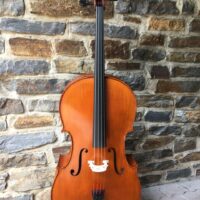 Gliga Vasile Advanced Cello